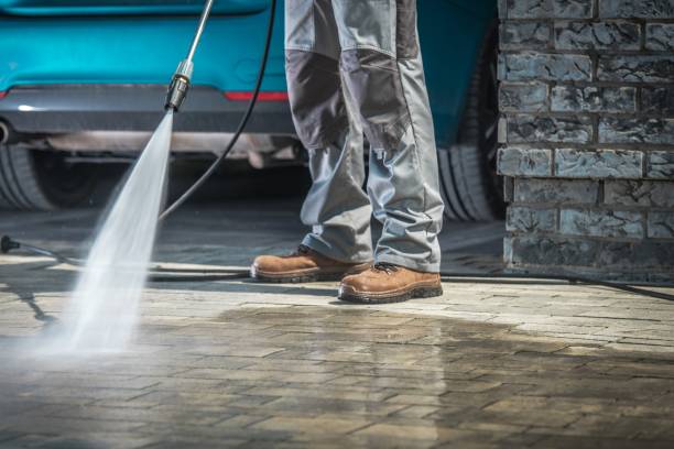 Best Pre-Holiday Cleaning  in Princeton, WV